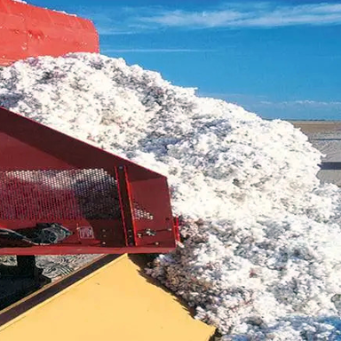 Cotton Ginning